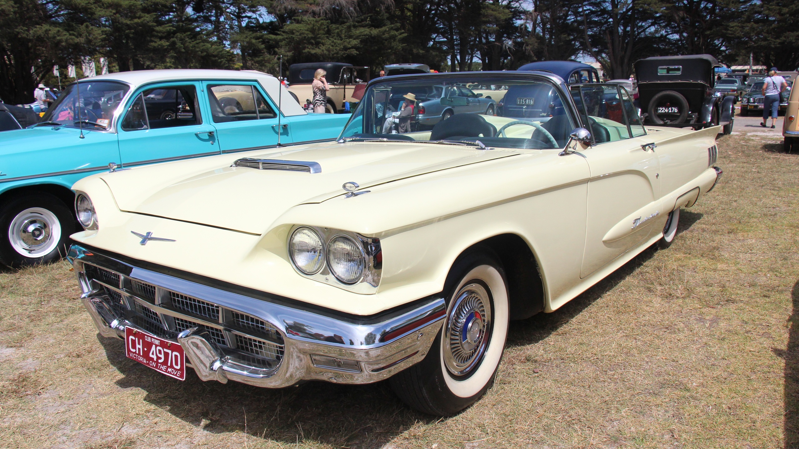 1960 Ford Thunderbird convertible, photographed January 17, 2016. Photo: Sicnag / Wikimedia Commons, CC BY 2.0 (https://creativecommons.org/licenses/by/2.0/). Source: https://commons.wikimedia.org/wiki/File:1960_Ford_Thunderbird_Convertible_(24084969049).jpg. Cropped to 16:9.
